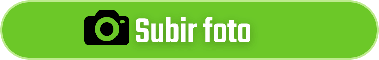 Subir Foto